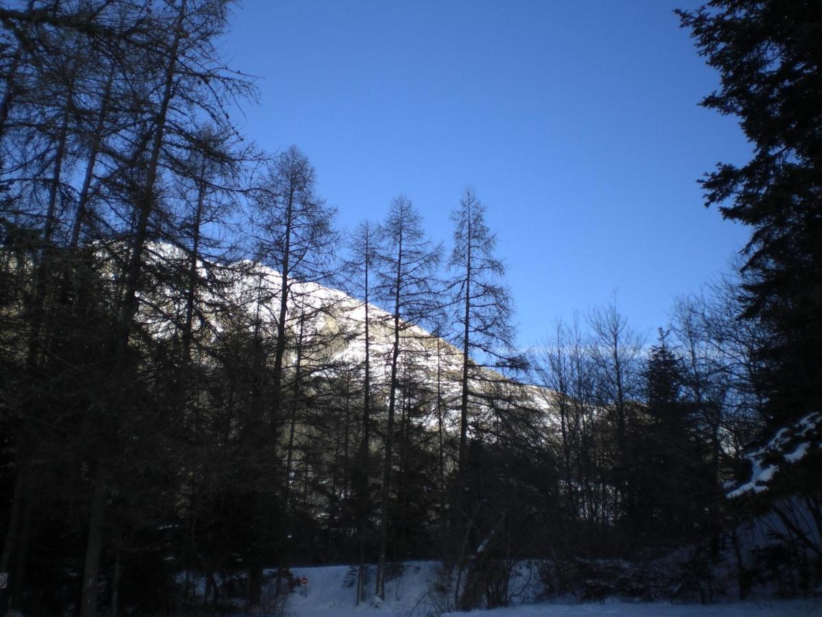 T3 Coquet Et Lumineux Aux Pieds Des Pistes *
